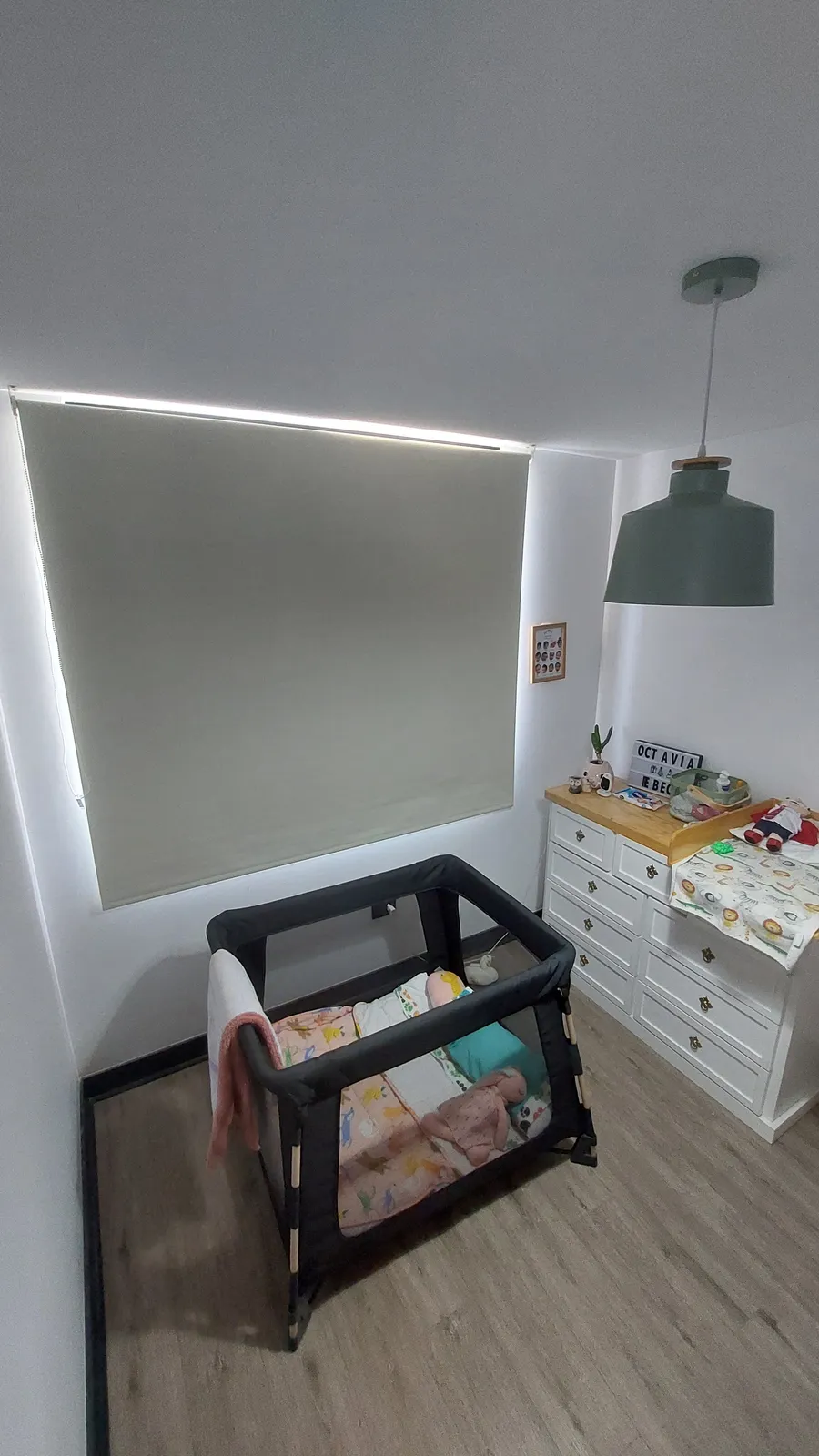Cortina Roller — proyecto Terrallet