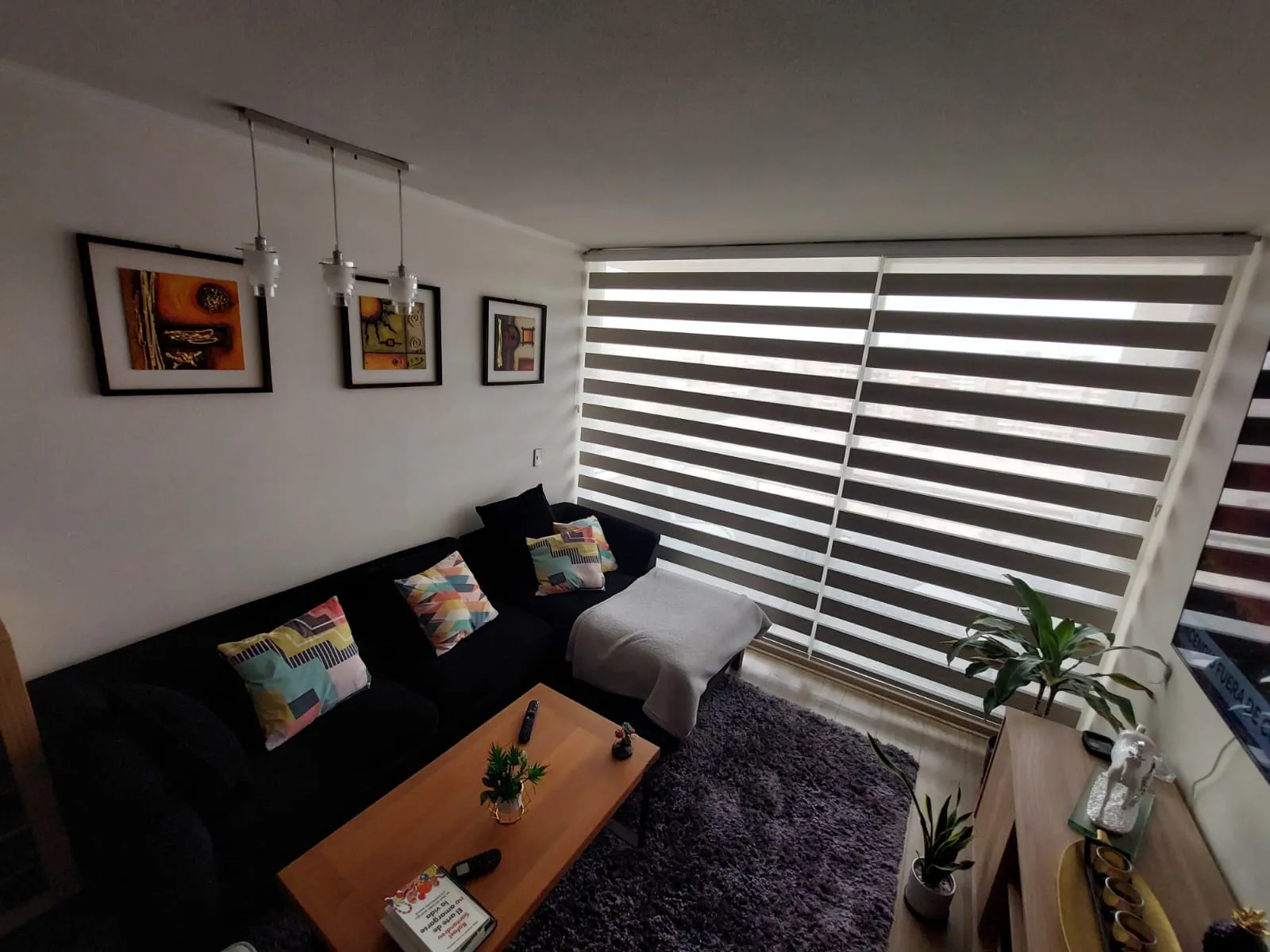 Cortina Roller Dúo — proyecto Terrallet